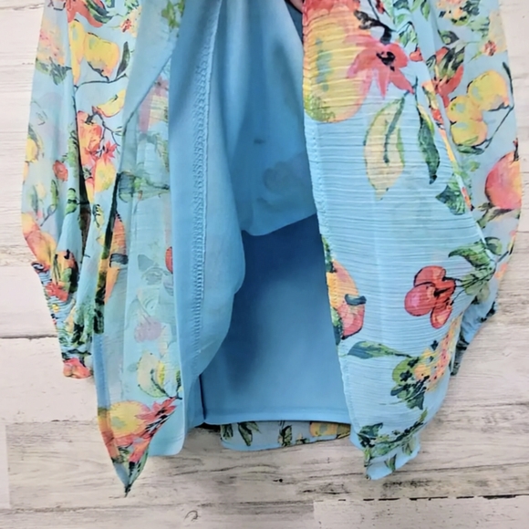 LC Laura Conrad, NWOT, Peasant Chiffon Blouse, Fruit Print, Size XXL - Picture 5 of 11